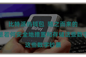 比特派热钱包 随之而来的问题是若何安全地措置和存储这些数字钞票